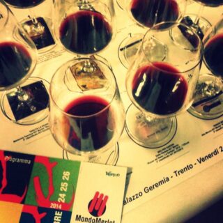 21° Corso di Assaggio dell’Olio Extra Vergine di Oliva