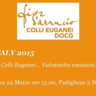 Aceto Balsamico. Con le ricette dei grandi chef