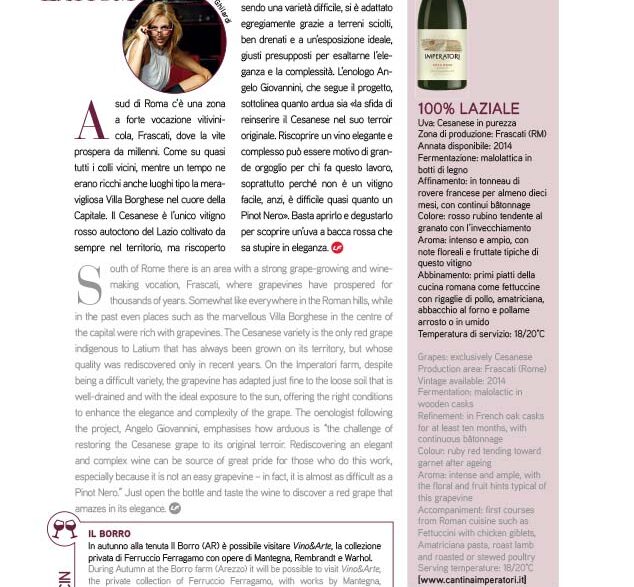 TYPICAL WINE FROM LATIUM