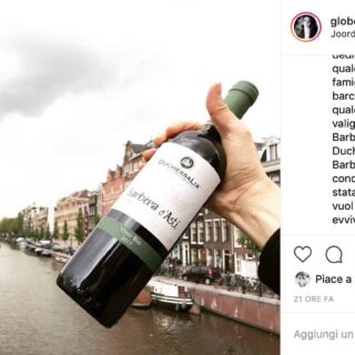 DELIZIE IN VERDE: golose e vitaminiche