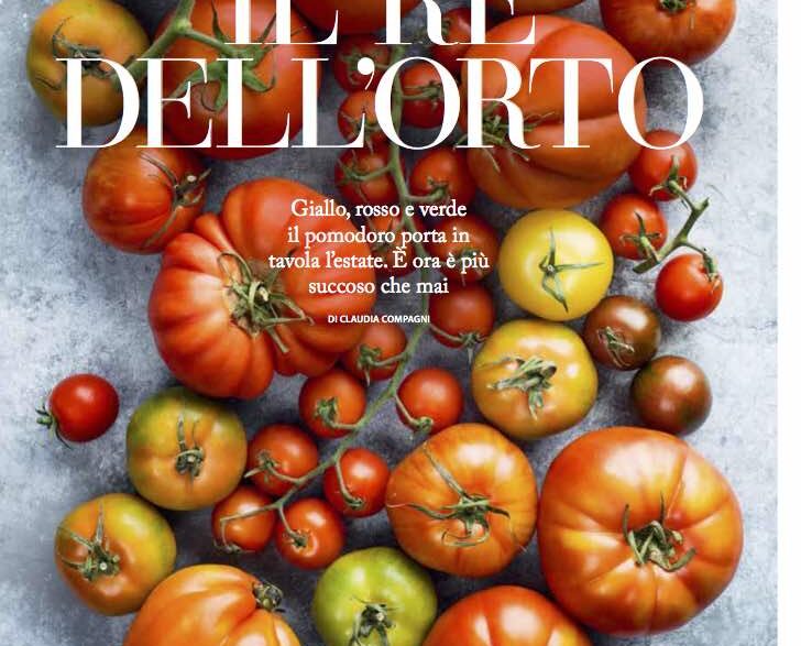 IL RE DELL’ORTO: il pomodoro porta in tavola l’estate