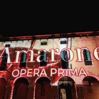 The Portrait of Abruzzo’s Wines