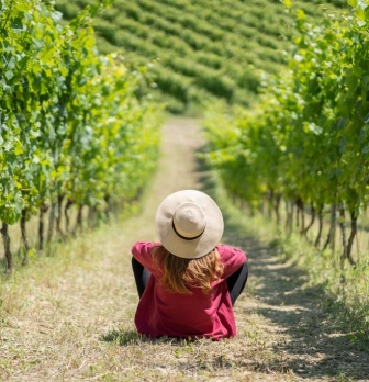 The Portrait of Abruzzo’s Wines