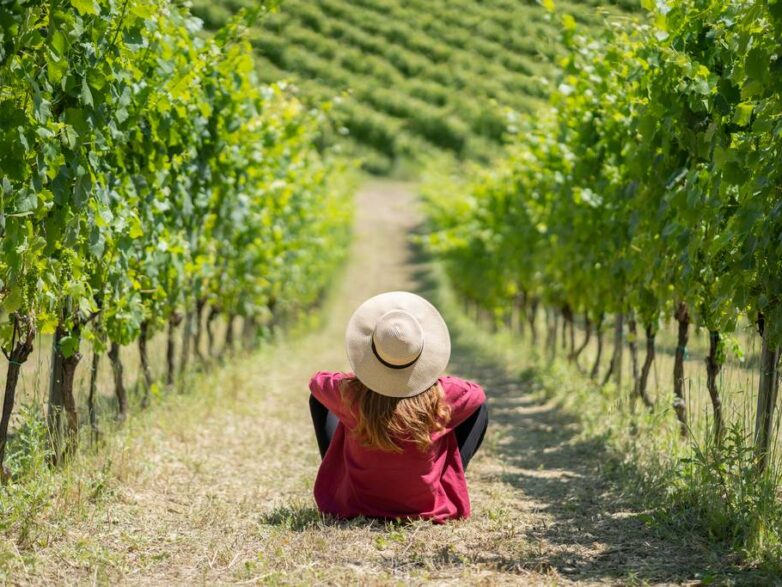 The Portrait of Abruzzo’s Wines​