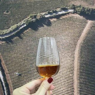 Viaggio nel tempo a Vignamaggio: storia nella terra del Chianti Classico
