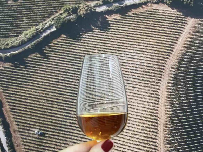 Il Passito che nasce nel Vento