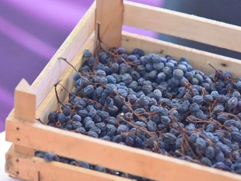 AMARONE OPERA PRIMA 2025