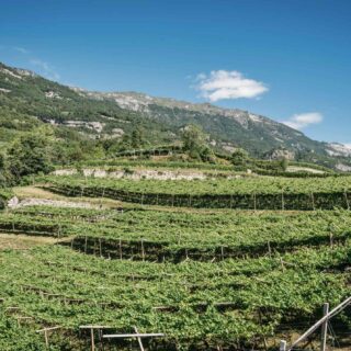 L’eco dell’eleganza: la Grande Dame 2018